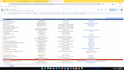 be your professional data entry operator and assistant