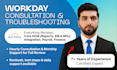 provide workday consultation and troubleshooting as certified expert