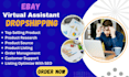be your professional ebay virtual assistant