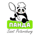 design a custom panda logo for your brand