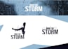 design a creative, modern, and professional business logo