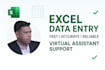 do excel spreadsheet data entry as your virtual assistant