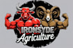 design professional bull logo