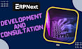 provide erpnext consultation and custom modules