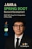 develop java spring boot rest apis and fix backend bugs