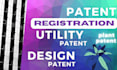 draft and file provisional, utility or non provisional patent