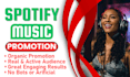 do professional spotify music promotion
