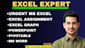 solve microsoft excel assignment, graph, pivot table, excel projects and task