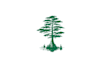 design professional bald cypress tree chat bot logo