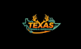 design amazing texas hunting logo