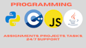 develop and debug your code in python, cpp, java, rust, julia, go, r code