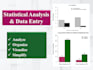 do statistical analysis, data entry, and design questionnaires