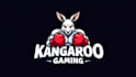 make a high quality boxing kangaroo logo in one day
