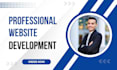 build professional and attractive website development