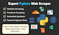be your expert python web scraper and automate web scraping