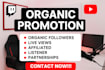do twitch and kick promotion to gain live viewers growth kick and twitch partner