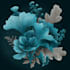 draw botanical illustration art for you