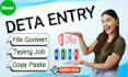 be your expert virtual assistant for data entry and typing