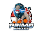 design outstanding pokemon logo in high definition