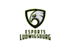 design top quality traditional e sports logo