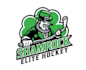 design powerful classic hockey team logo