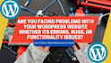 fix wordpress issues, fix wordpress errors, bugs, fix wordpress website