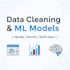 do data cleaning, preprocessing, model training using python