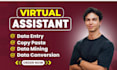 ido accurate data entry, copy paste, and web research