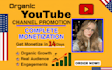 do youtube channel monetization