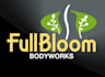 design a professional wellness and massage logo