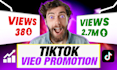 provide real tiktok video promotion using tiktok ads