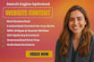 write SEO optimized website content and copy that converts