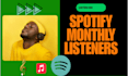 increase spotify monthly listeners, spotify streams and spotify playlist