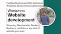 develop website with wordpress
