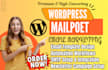 do wordpress mailpoet email newsletter automation email template design smtp