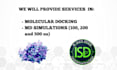 molecular docking and long MD simulations 100 200 and 500ns