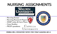 help with capella flexpath nursing projects, walden and chamberlain