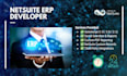 create netsuite scripts and customizations