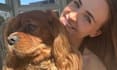 create ugc with my dog for your pet brand for all platforms
