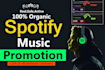 do netherlands spotify music promotion