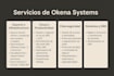 provide IT support, cloud solutions, cybersecurity and server management