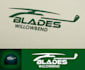 do high quality wonderful helicopter logo design