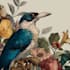 draw an animal and botanical illustration
