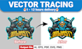 redesign, remake logo or vector conversion quickly