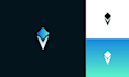 create premium tech startup logo with unlimited revisions
