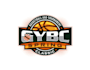 create attractive and imagination basketball logo design
