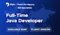 provide a full time java developer
