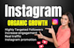 do super fast organic instagram growth and promotion