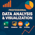 provide professional data analysis and data visualization