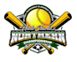 make in a creation softball logo in 24 hours